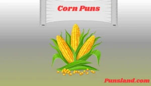 Read more about the article 135+ Corn Puns That Are Amazing!