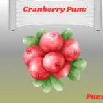 Cranberry Puns