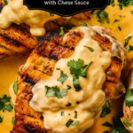 Mexican Chicken with Cheese Sauce