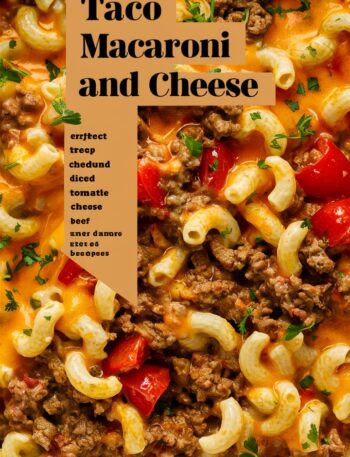 Taco Macaroni and Cheese
