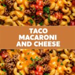 Taco Macaroni and Cheese